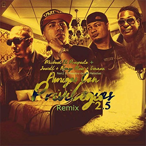 Disco Amigos Con Privilegios (Remix 2.5) de Zyron