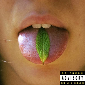 Disco Menta de Zzoilo